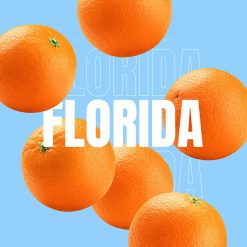 florida florida