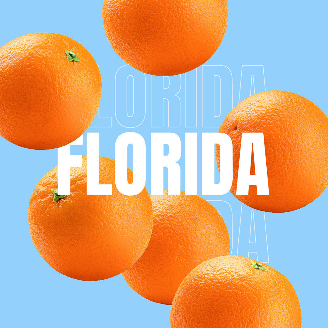Read more about the article If You’re a Fan of Florida Oranges, Read This